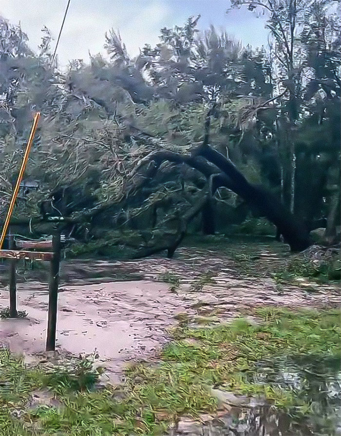 Couple with animals during Hurricane Milton